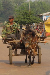 Cambodja, Echt nog met paard en wagen.