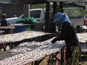 Visjes liggen te drogen.