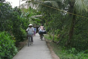 Smal pad in de Mekongdelta