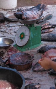 Verse vis op de markt