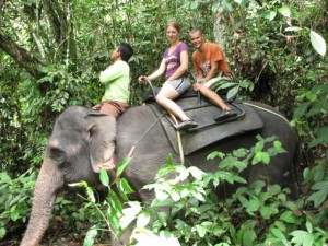 Samen op de rug van de olifant