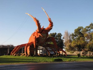De big Lobster in Kingston S.E.