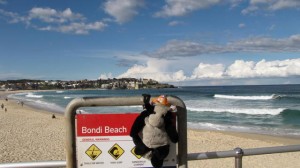 Koen met prachtig weer op Bondi Beach