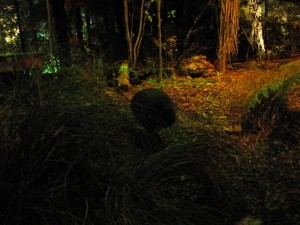 Zoek de kiwi, ja hij zit er echt!