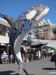 Mozaïek orca in de haven van Victoria