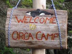 Laat de orka's maar komen!