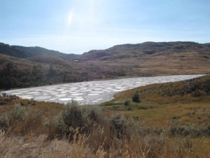 Spotted lake vlakbij Osoyoos.