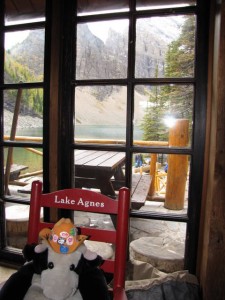 Koen geniet er van op zijn eigen stoel.