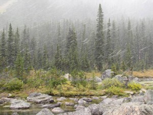 De donkere wolk wordt een sneeuwstorm.