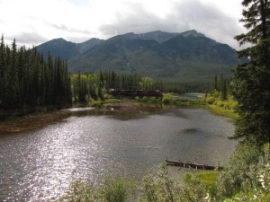 De passerende goederentrein