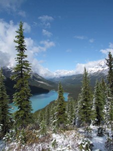 Peyto Lake