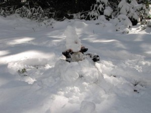 Koen in een sneeuwlawine