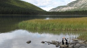 Koen bij het Waterfowl Lake