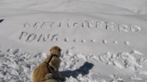 Onze felicitatie in de sneeuw