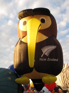 De Nieuw Zeelandse Kiwi