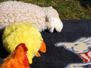 Het schaap, de eend en de kip