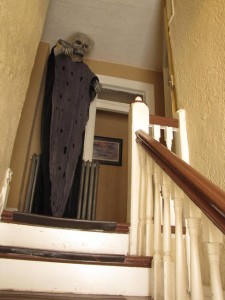 Eén van de nieuwe gasten van het hostel