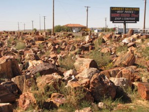Meer Petrified forest voor de verkoop dan in het park