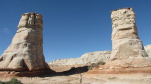 Grote olifanten voeten