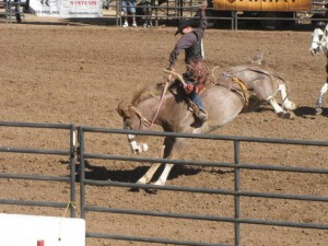 Rodeo op de Arizona state fair