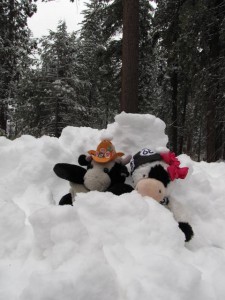 Koen en Lilly in de sneeuw