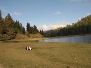 Koen en Lilly vinden het gras terug