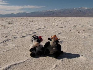 Koen en Lilly op de zoutvlakte