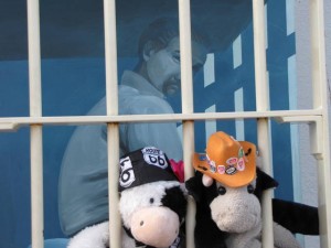 Koen en Lilly gevangen in liefde