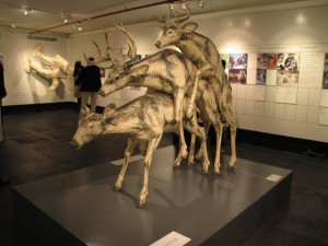 Vrijende dieren in het SEXmuseum.